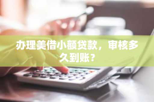 办理美借小额贷款，审核多久到账？