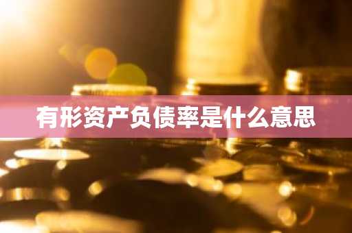 有形资产负债率是什么意思