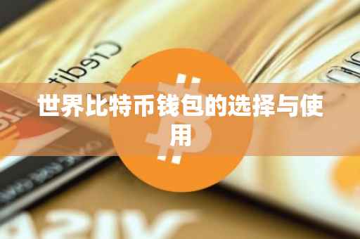 世界比特币钱包的选择与使用