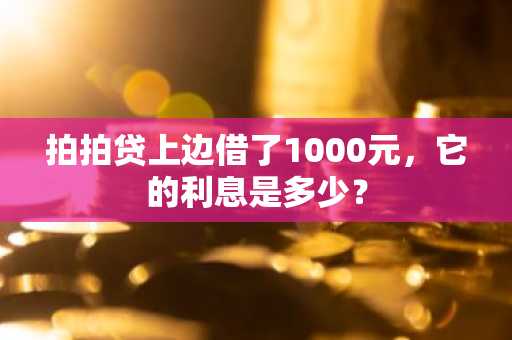 拍拍贷上边借了1000元，它的利息是多少？