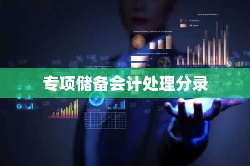 专项储备会计处理分录