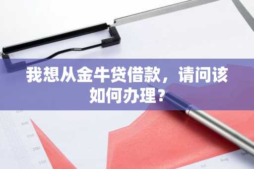 我想从金牛贷借款，请问该如何办理？