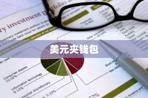 美元夹钱包