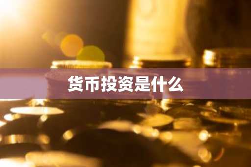 货币投资是什么