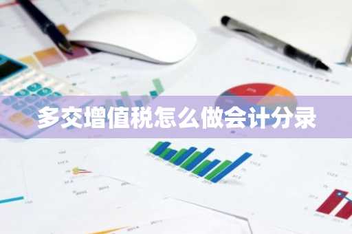 多交增值税怎么做会计分录