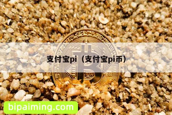 支付宝pi（支付宝pi币）