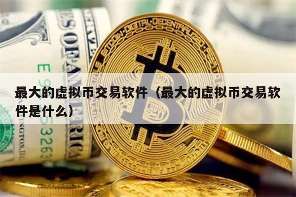 最大的虚拟币交易软件（最大的虚拟币交易软件是什么）