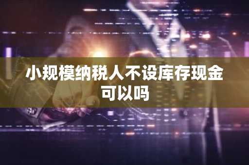 小规模纳税人不设库存现金可以吗