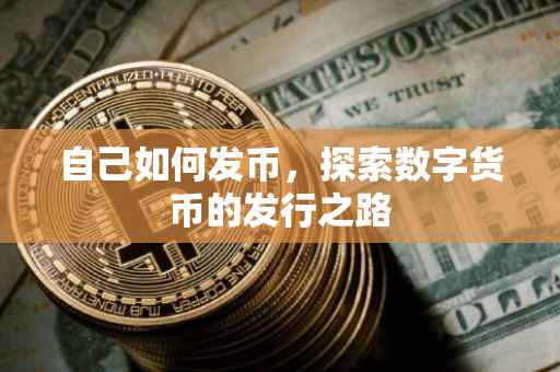 自己如何发币，探索数字货币的发行之路