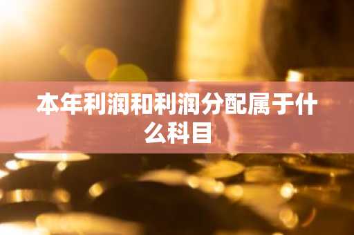 本年利润和利润分配属于什么科目