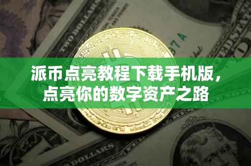 派币点亮教程下载手机版，点亮你的数字资产之路