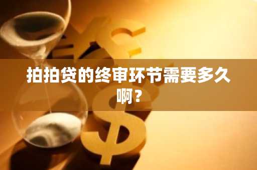 拍拍贷的终审环节需要多久啊？