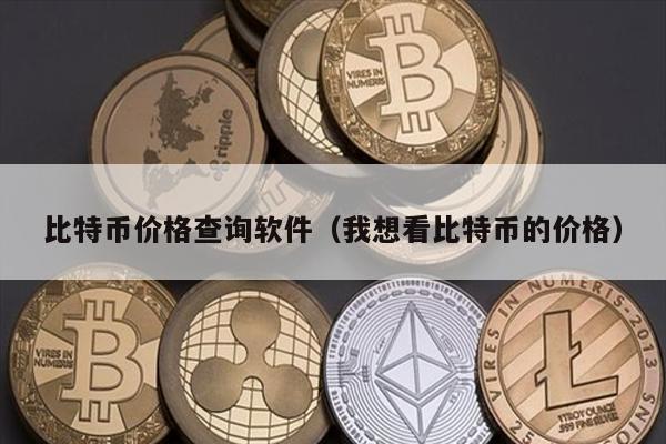 比特币价格查询软件（我想看比特币的价格）