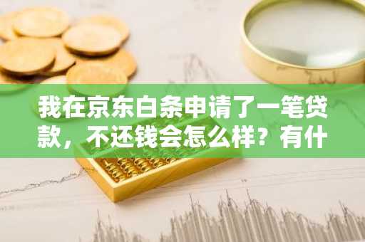 我在京东白条申请了一笔贷款，不还钱会怎么样？有什么后果吗？