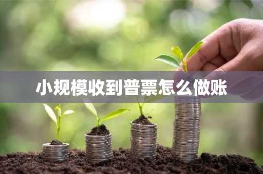 小规模收到普票怎么做账