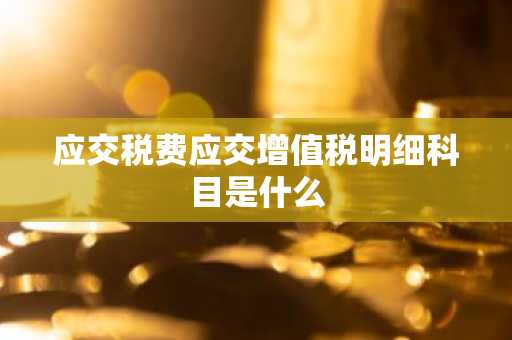 应交税费应交增值税明细科目是什么