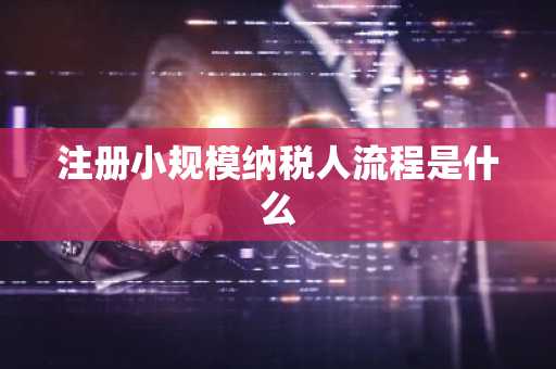 注册小规模纳税人流程是什么