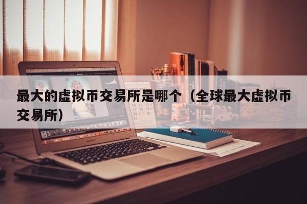 最大的虚拟币交易所是哪个（全球最大虚拟币交易所）
