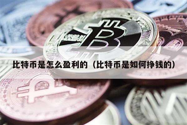 比特币是怎么盈利的（比特币是如何挣钱的）