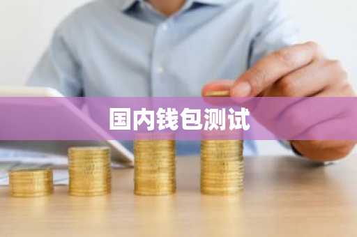 国内钱包测试