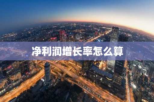 净利润增长率怎么算