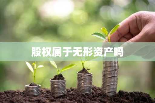股权属于无形资产吗