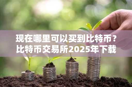 现在哪里可以买到比特币？比特币交易所2025年下载排行榜