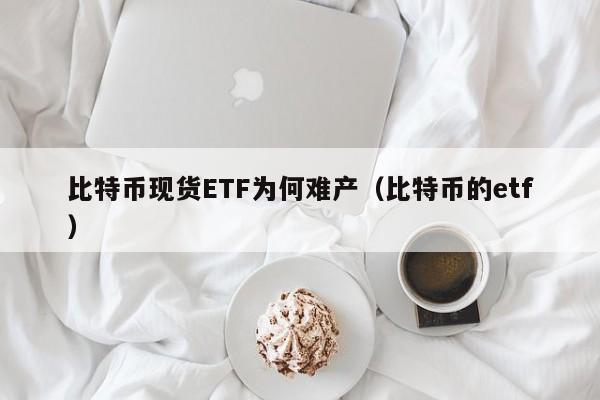 比特币现货ETF为何难产（比特币的etf）