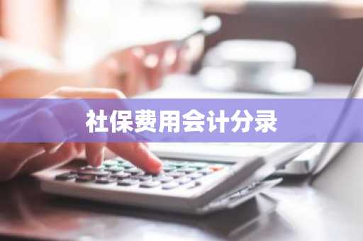 社保费用会计分录