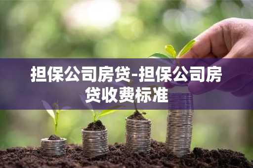 担保公司房贷-担保公司房贷收费标准