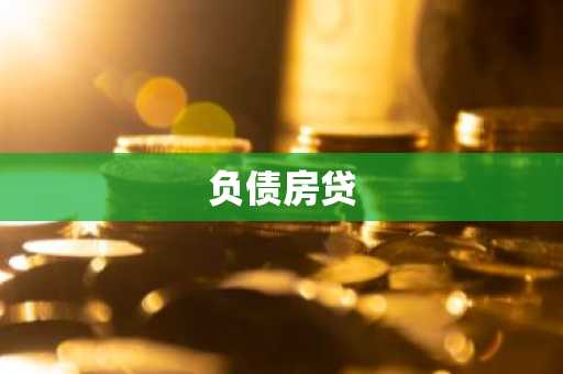 负债房贷