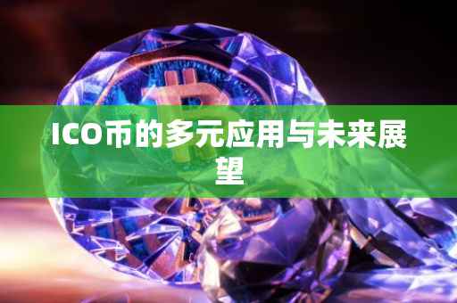 ICO币的多元应用与未来展望