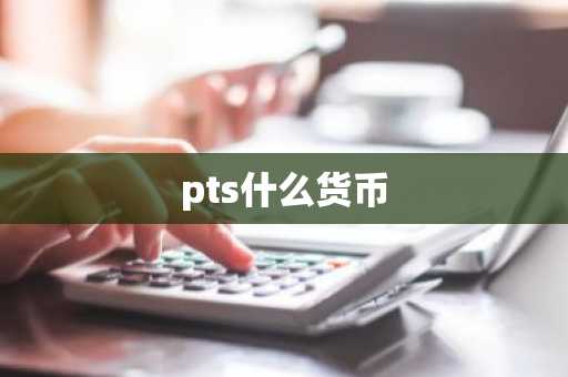 pts什么货币