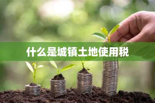 什么是城镇土地使用税