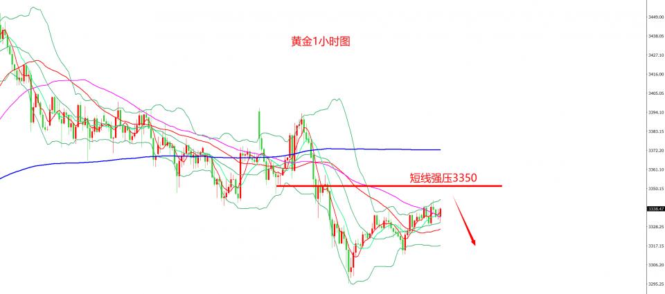 齐仲龙：黄金，日内冲高回落