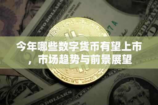 今年哪些数字货币有望上市，市场趋势与前景展望