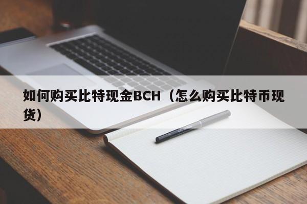 如何购买比特现金BCH（怎么购买比特币现货）
