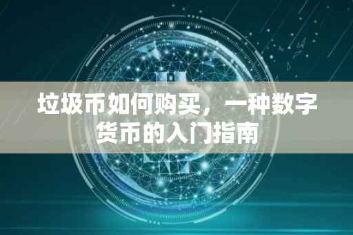 垃圾币如何购买，一种数字货币的入门指南