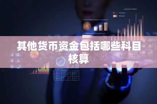 其他货币资金包括哪些科目核算