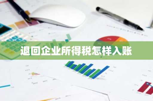 退回企业所得税怎样入账