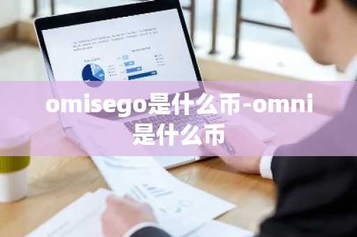 omisego是什么币-omni是什么币