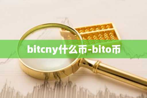 bitcny什么币-bito币