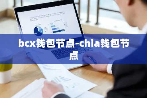 bcx钱包节点-chia钱包节点