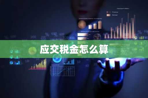 应交税金怎么算