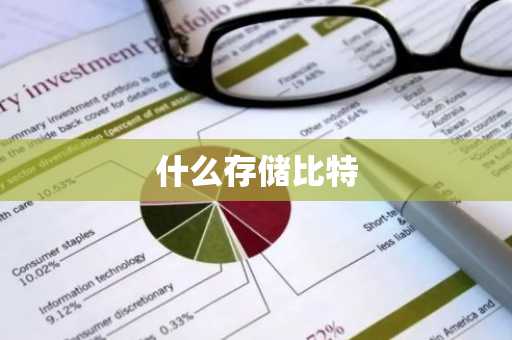 什么存储比特