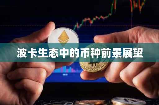 波卡生态中的币种前景展望
