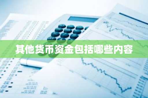 其他货币资金包括哪些内容