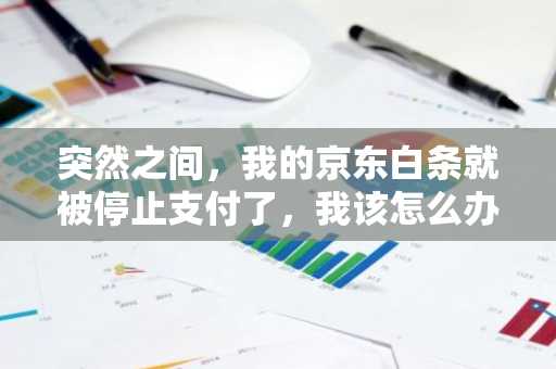 突然之间，我的京东白条就被停止支付了，我该怎么办啊？