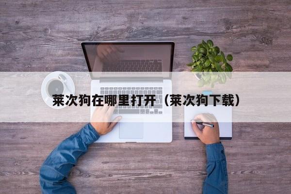 莱次狗在哪里打开（莱次狗下载）