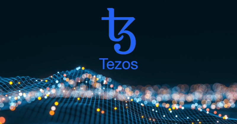 Tezos（XTZ）自升级区块链：新手如何参与治理